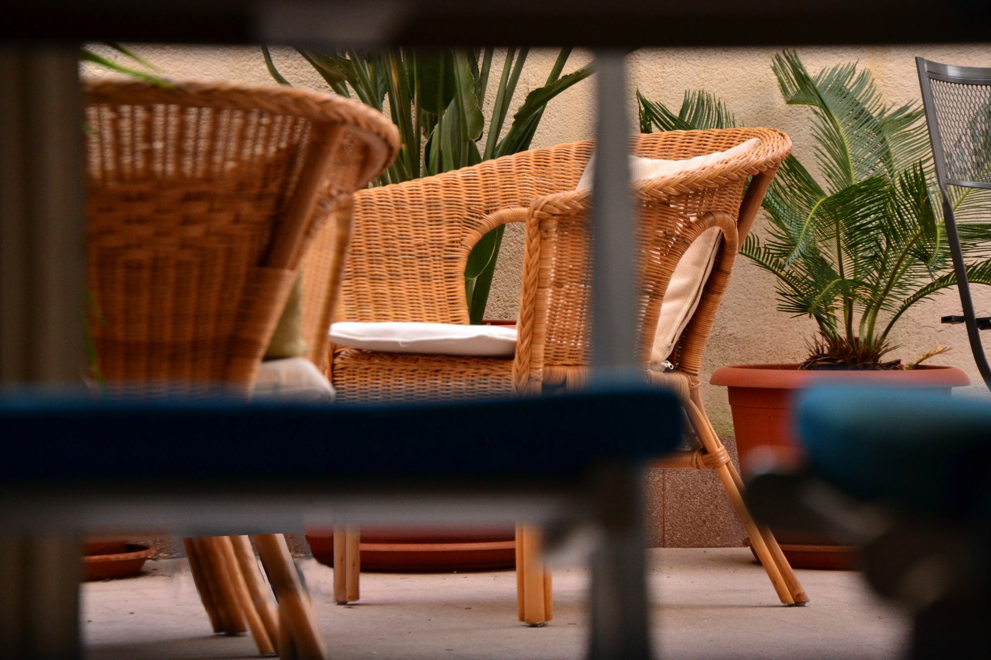 Il Lapino Hotel Палермо Екстериор снимка